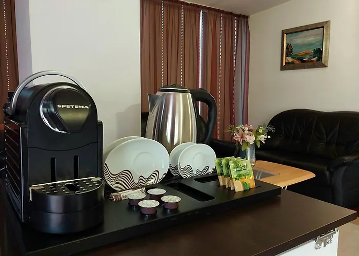 сити Плевен